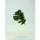 BC Bonacure Scalp Soothing Sampon 1000 ml