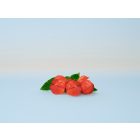 BC Bonacure Root Activating Sampon 250 ml