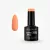 Elixir Semi Gel #1348 Salamander 8 ml