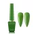 DGEL Signature Basic DS048 12 ml Fern Green