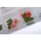 The Nail PRO Körömdísz szárított virágok