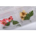 The Nail PRO Körömdísz szárított virágok